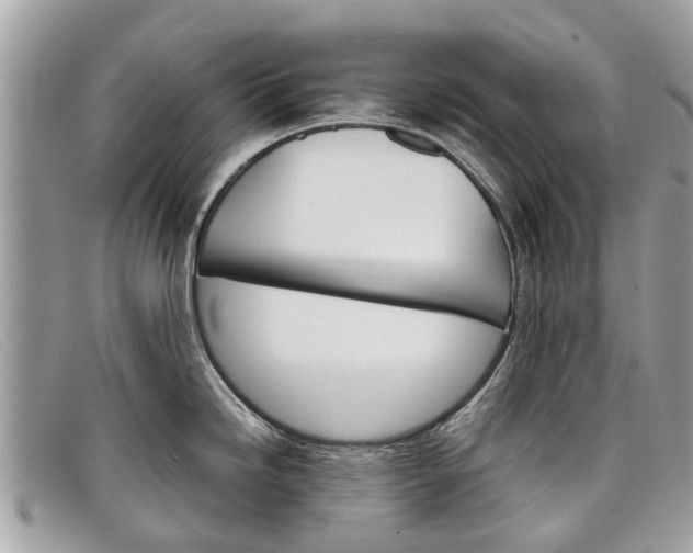 X0000098041246200804111338