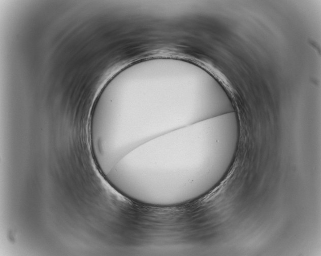 X0000098041247200804111338