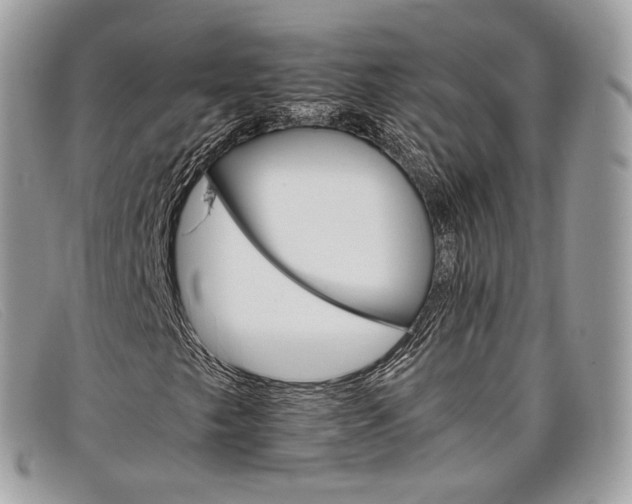 X0000098041249200804111338