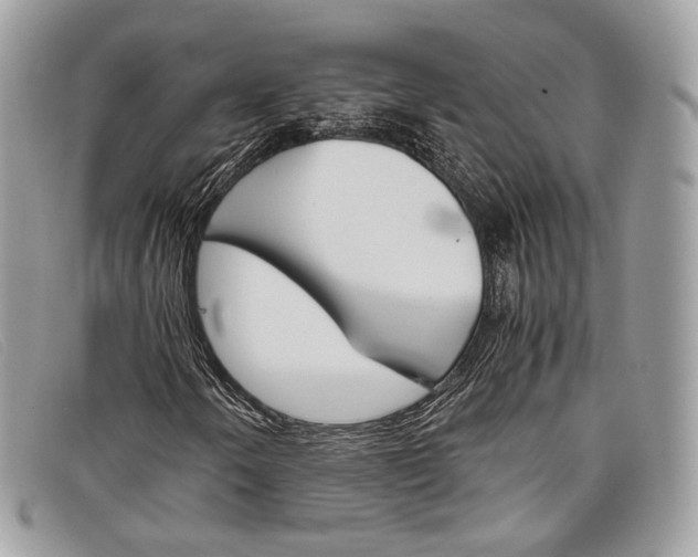 X0000098041250200804111338