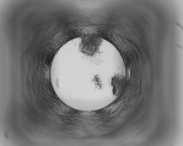 X0000098041251200804111338