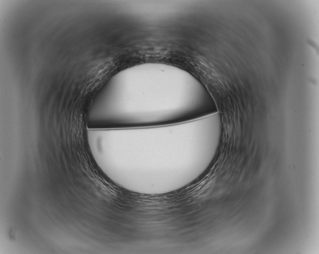 X0000098041252200804111338