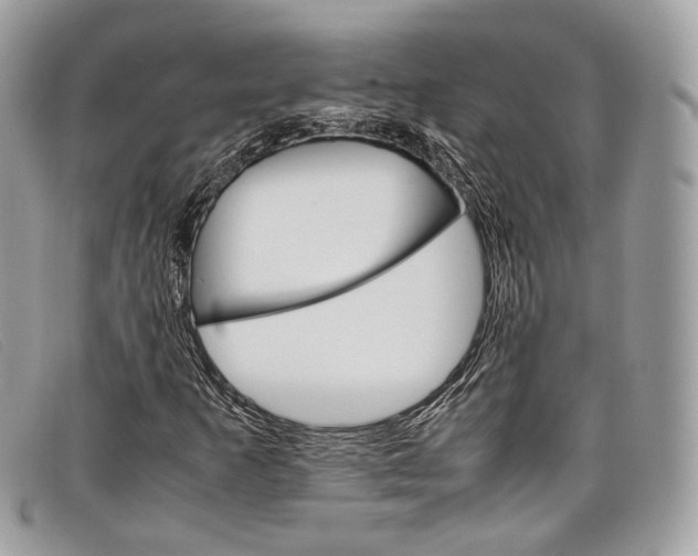 X0000098041253200804111338