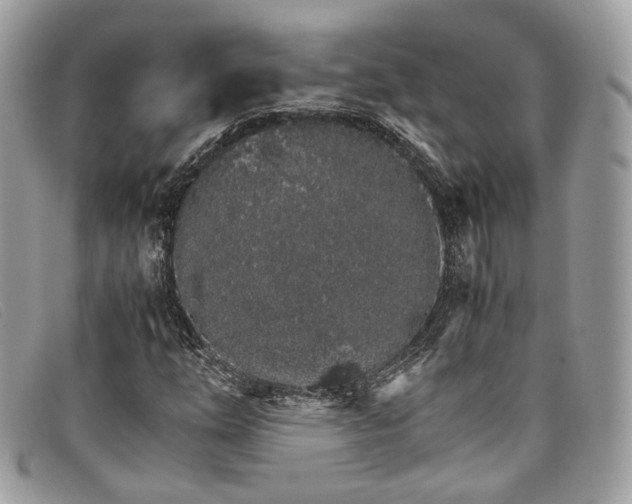X0000098041254200804111338