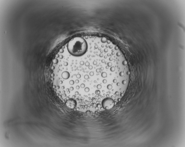 X0000098041255200804111338