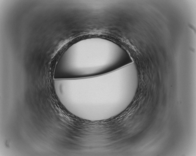 X0000098041256200804111338