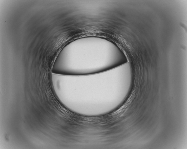 X0000098041257200804111338