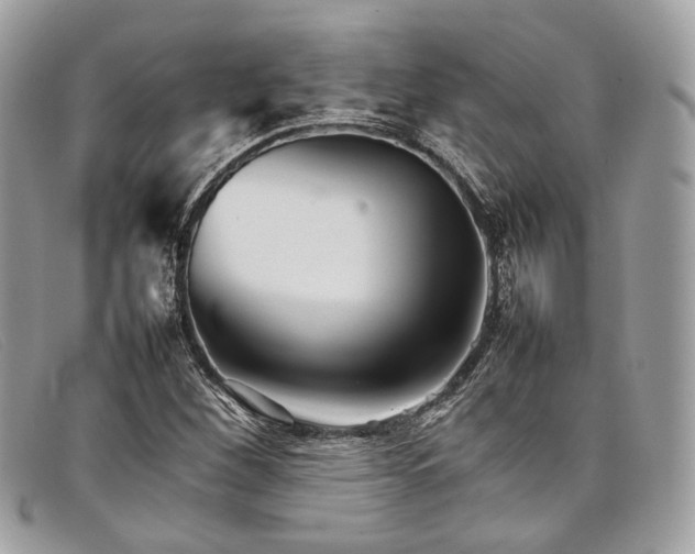 X0000098041260200804111337
