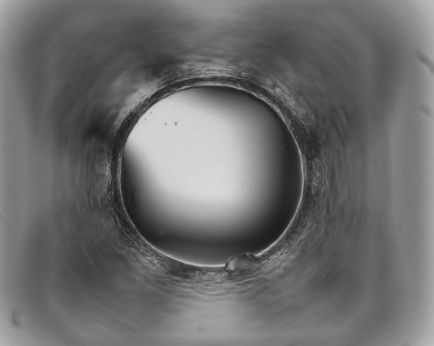 X0000098041261200804111337