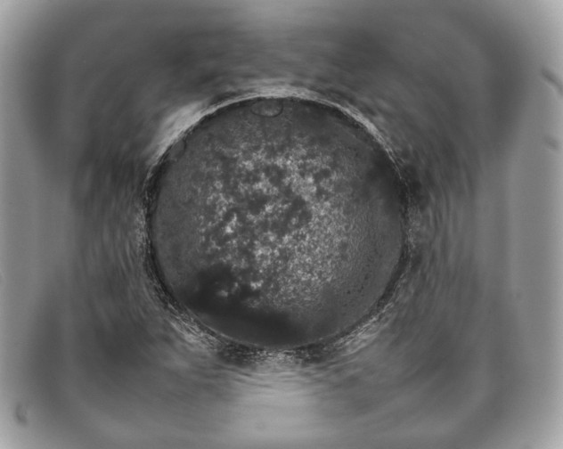 X0000098041263200804111337