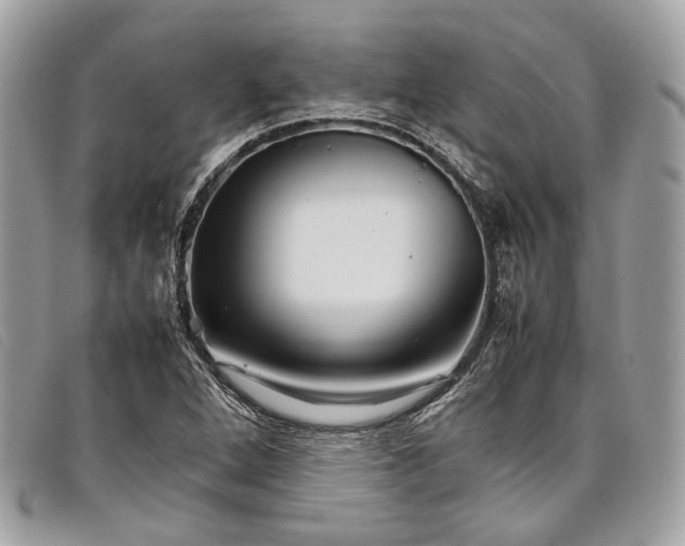 X0000098041264200804111337