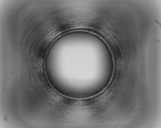 X0000098041265200804111337