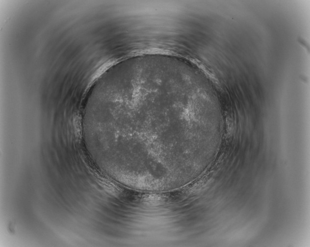 X0000098041266200804111337