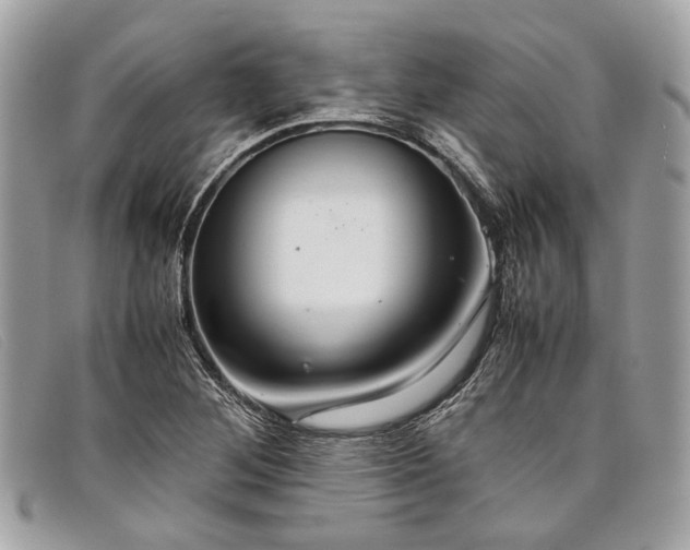 X0000098041268200804111337