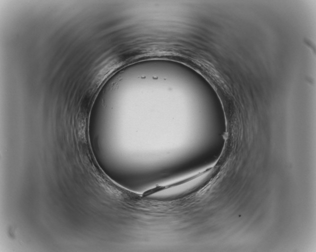 X0000098041273200804111337