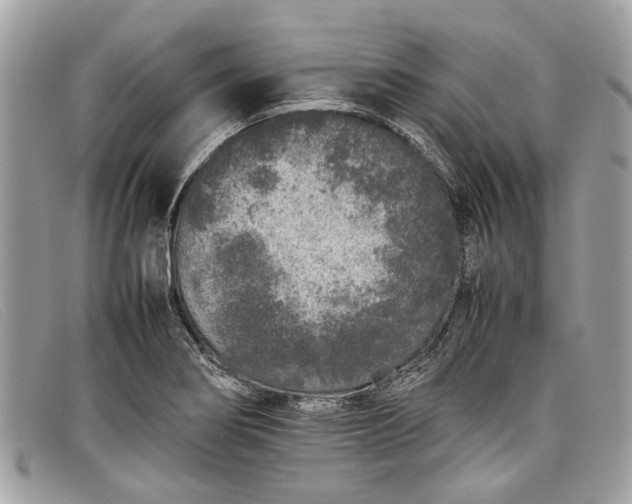 X0000098041274200804111337