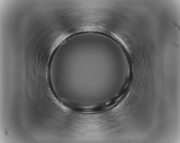X0000098041277200804111337