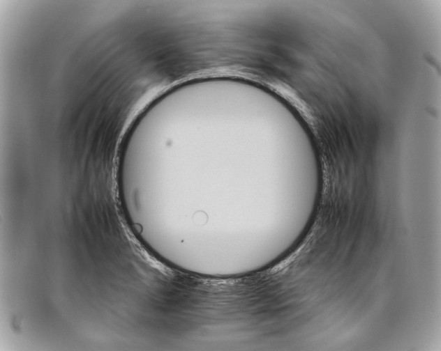 X0000098041278200804111337