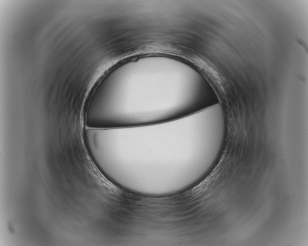 X0000098041280200804111337