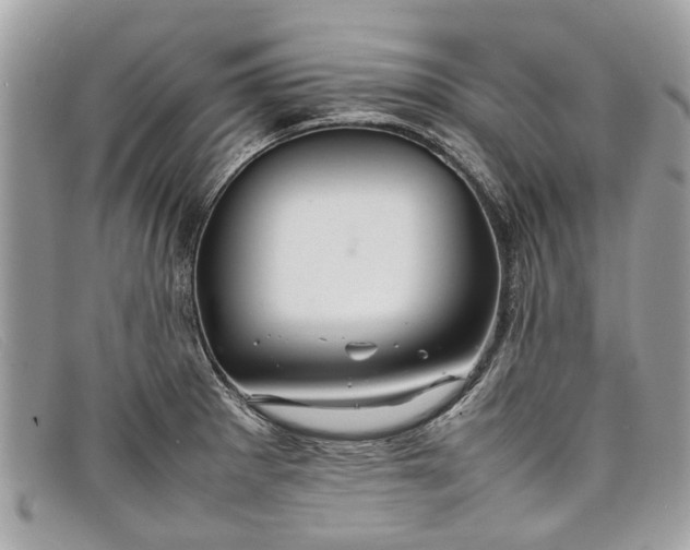 X0000098041281200804111337