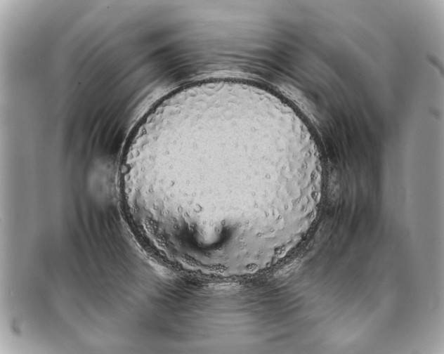 X0000098041282200804111337