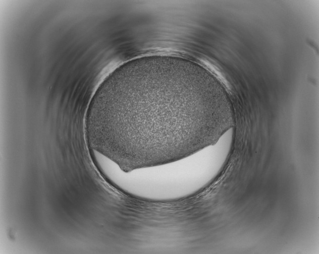 X0000098041283200804111337