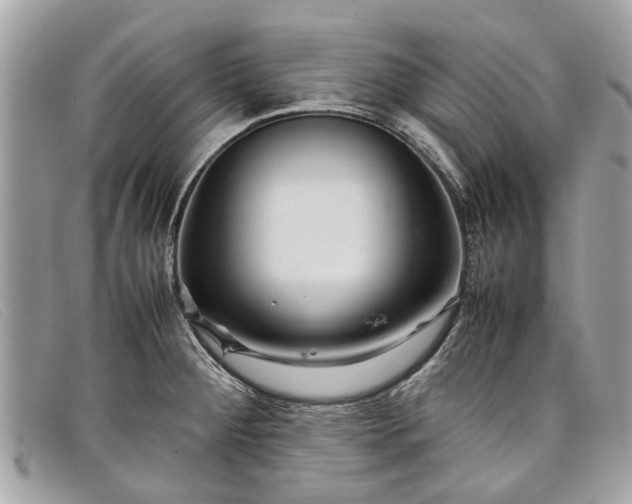 X0000098041284200804111337