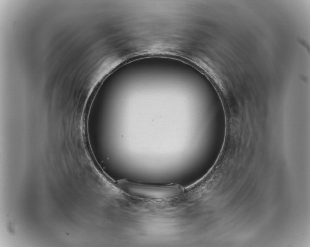 X0000098041285200804111337