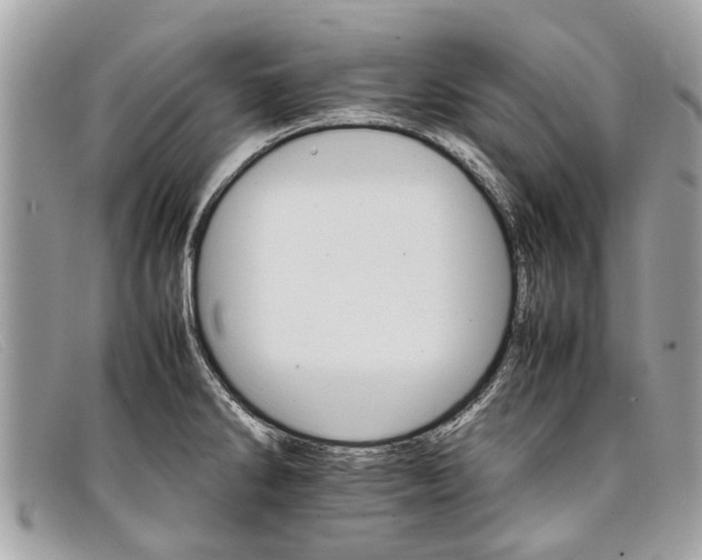 X0000098041286200804111337