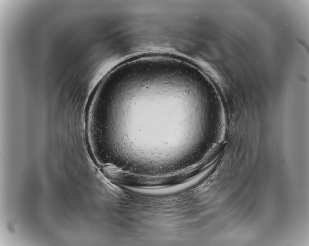 X0000098041287200804111337