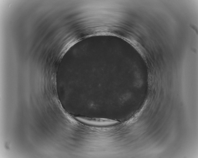 X0000098041289200804111337