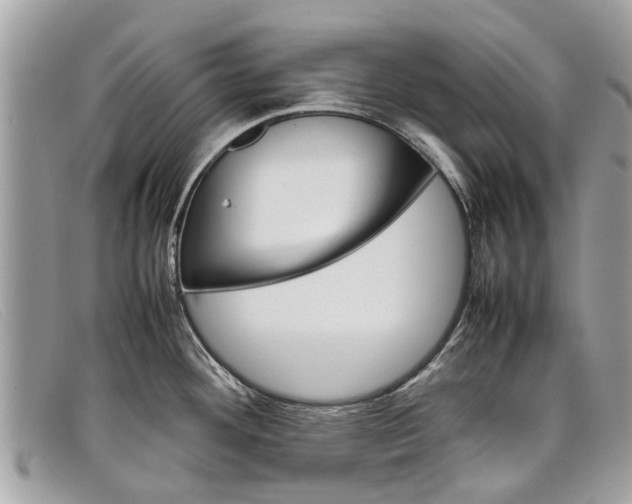 X0000098041292200804111337