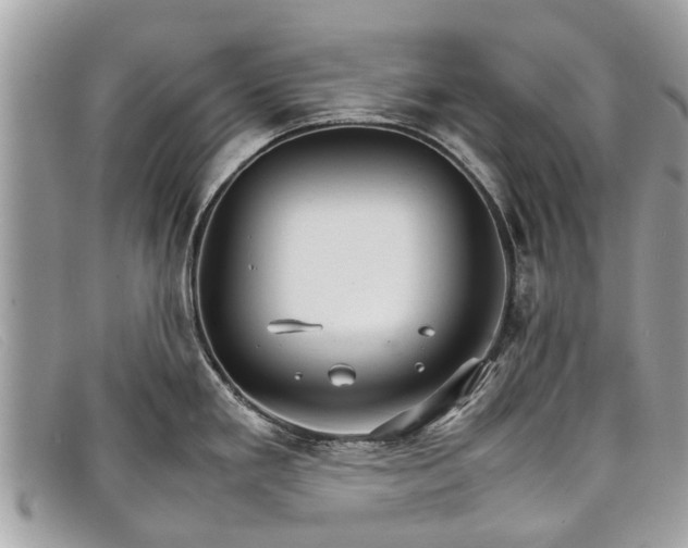 X0000098041293200804111337
