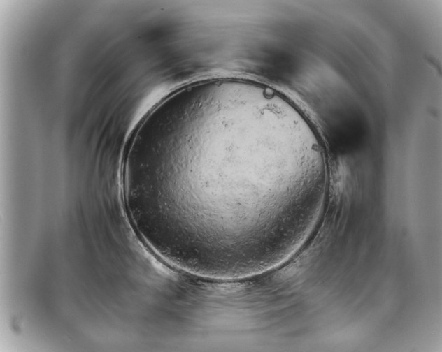 X0000098041294200804111337