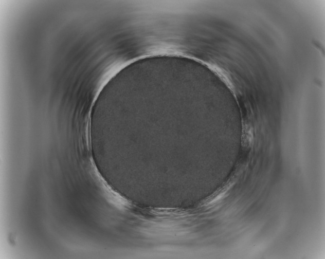 X0000098041295200804111337