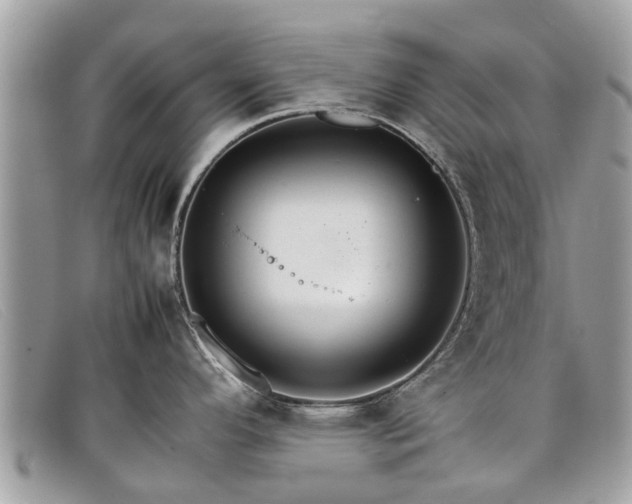 X0000098041296200804111337