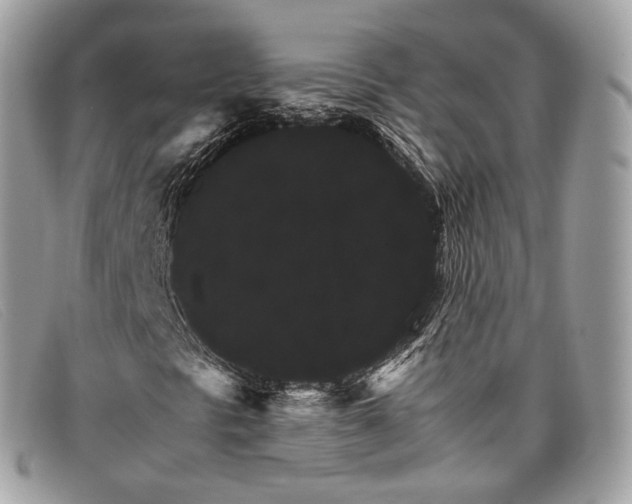 X0000098041297200804111336