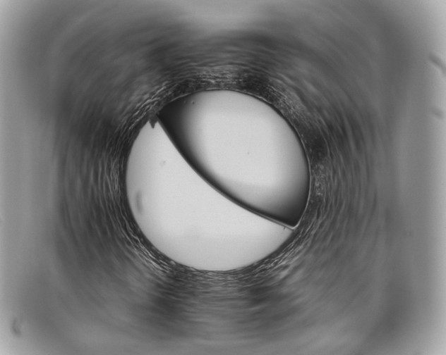X0000098041298200804111336