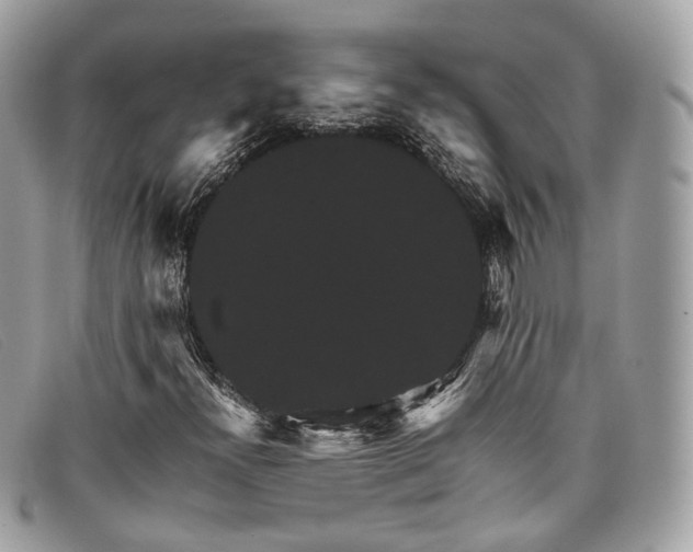 X0000098041300200804111336