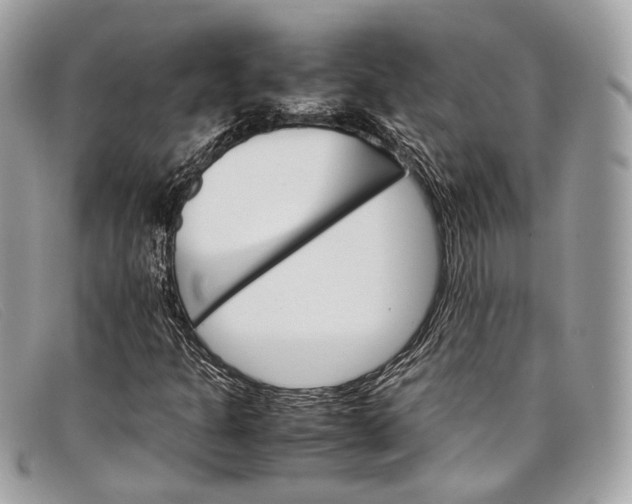 X0000098041301200804111336