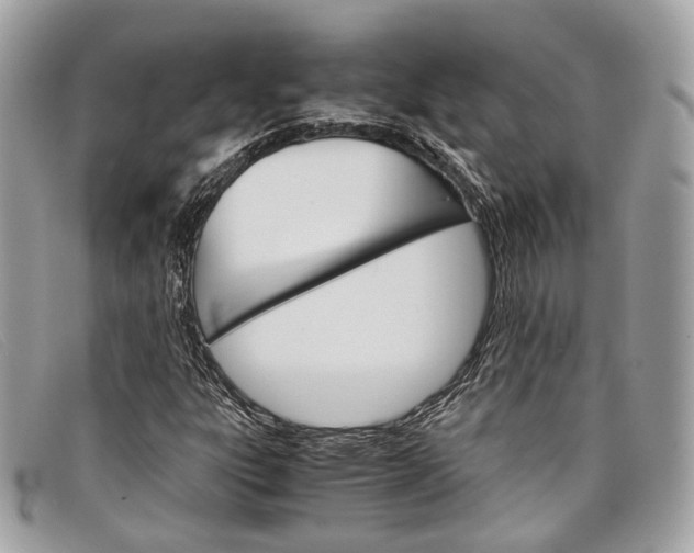 X0000098041303200804111336
