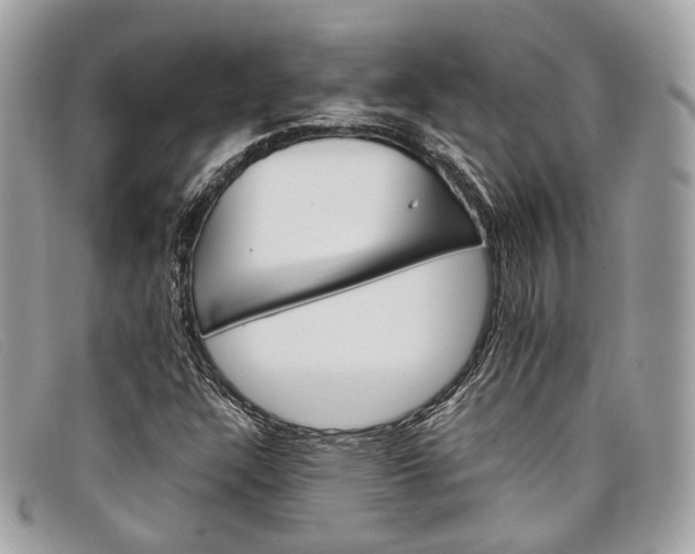 X0000098041304200804111336