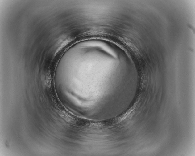 X0000098041306200804111336