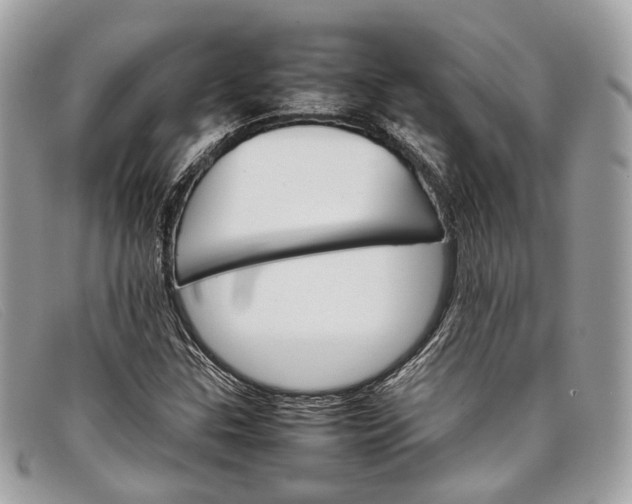 X0000098041307200804111336