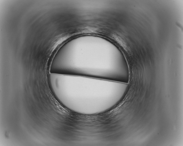 X0000098041308200804111336