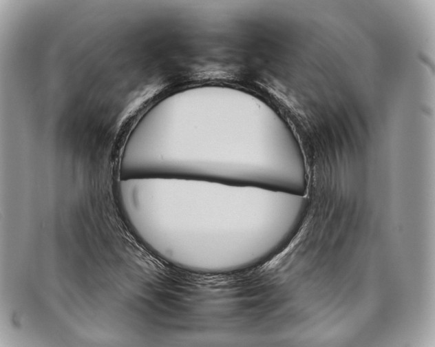 X0000098041309200804111336