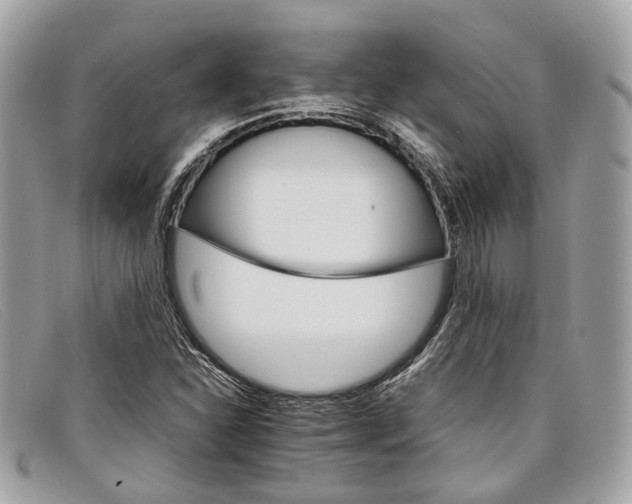 X0000098041310200804111336