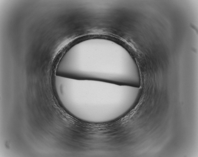 X0000098041311200804111336