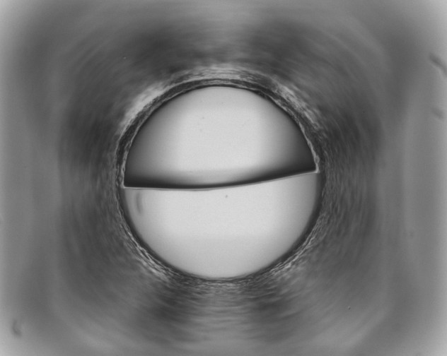 X0000098041312200804111336