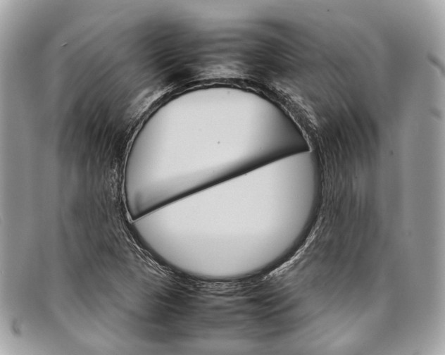 X0000098041313200804111336